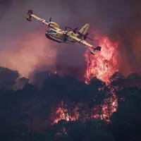 In Frankreich gab es heuer bereits mehrere große Waldbrände mit großer Zerstörungskraft