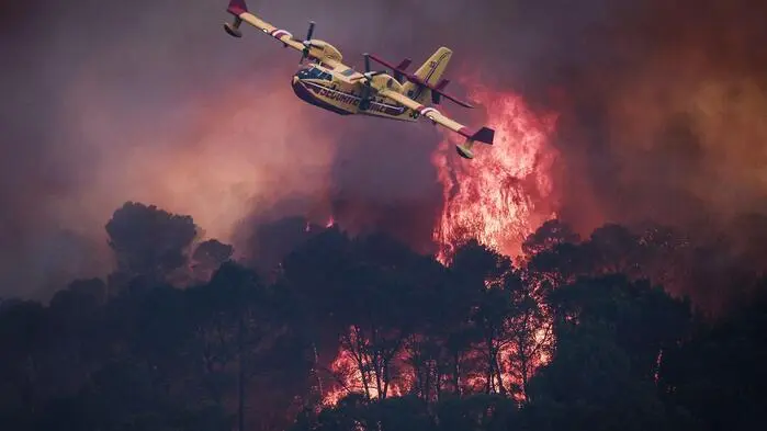 In Frankreich gab es heuer bereits mehrere große Waldbrände mit großer Zerstörungskraft