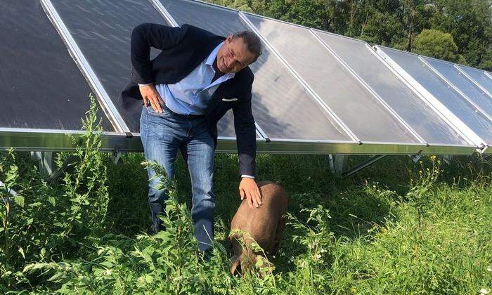 Robert Kanduth will im Friesacher Solarpark bald auch Freilandschweine halten