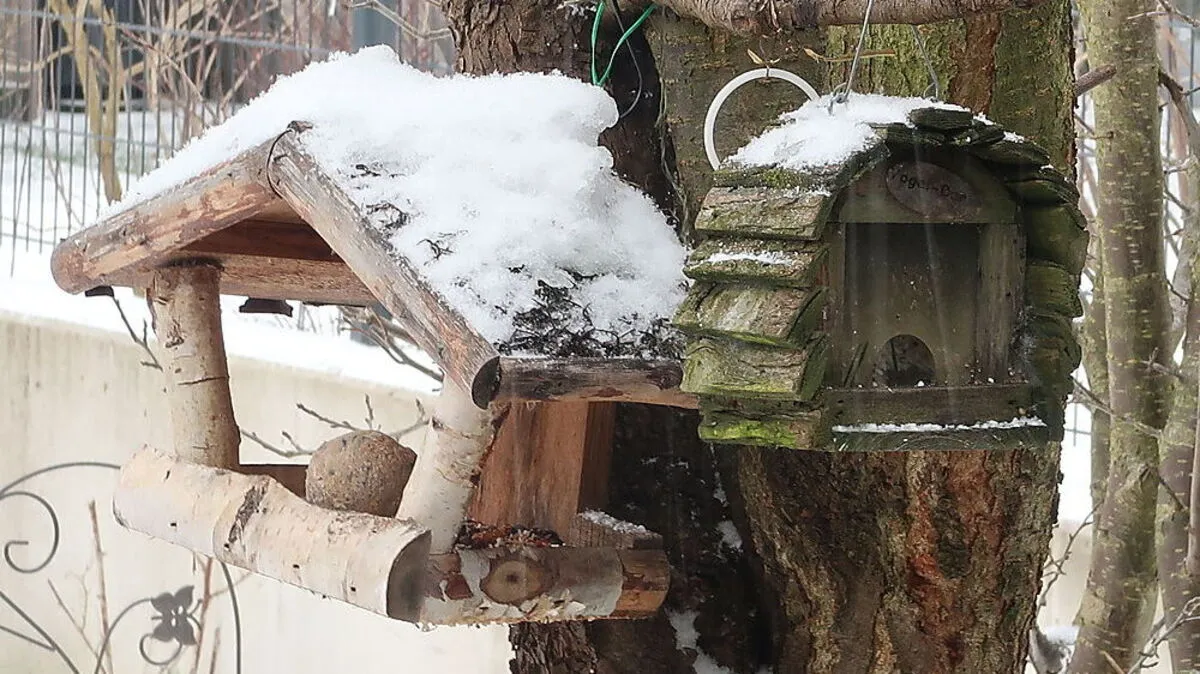 Vogelhäuschen gibt es viele. Das „Landhaus“-Model ist ein Klassiker