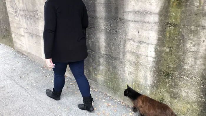 Jeden Tag um die Mittagszeit holt Fabienne ihren Sohn vom Kindergarten ab