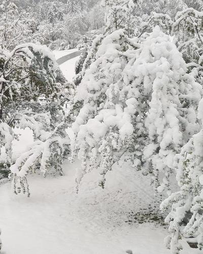 In Oberwollanig bei Villach hat es in der Nacht auf Dienstag rund 15 Zentimeter geschneit