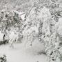 In Oberwollanig bei Villach hat es in der Nacht auf Dienstag rund 15 Zentimeter geschneit