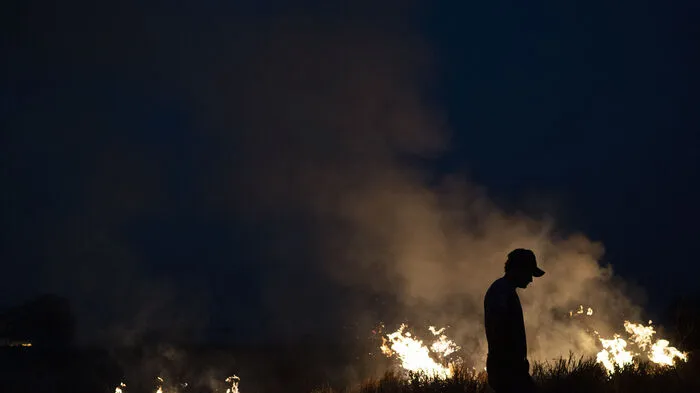 Verheerende Waldbrände im Amazonasgebiet: "Die Situation ist dramatisch. Zwischen Januar und August gab es nach offiziellen Angaben 72.843 Waldbrände in Südamerika, Stunde um Stunde frisst sich das Feuer in die grüne Lunge unseres Planeten", sagt Jens Karg von Greenpeace.