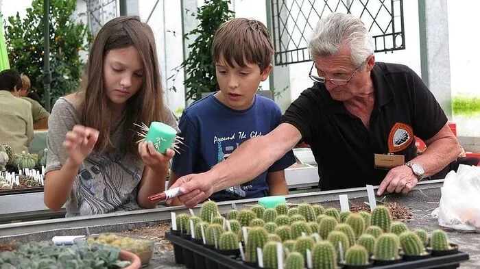 Viele Sammler bieten schöne und seltene Kakteen an