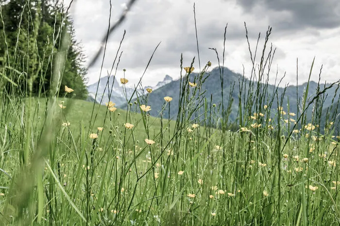 Der Trail, der auch in Teilabschnitten gewandert werden kann, eignet sich für Bergliebhaber mit alpiner Erfahrung. Wer ihn geht, wird reich belohnt.