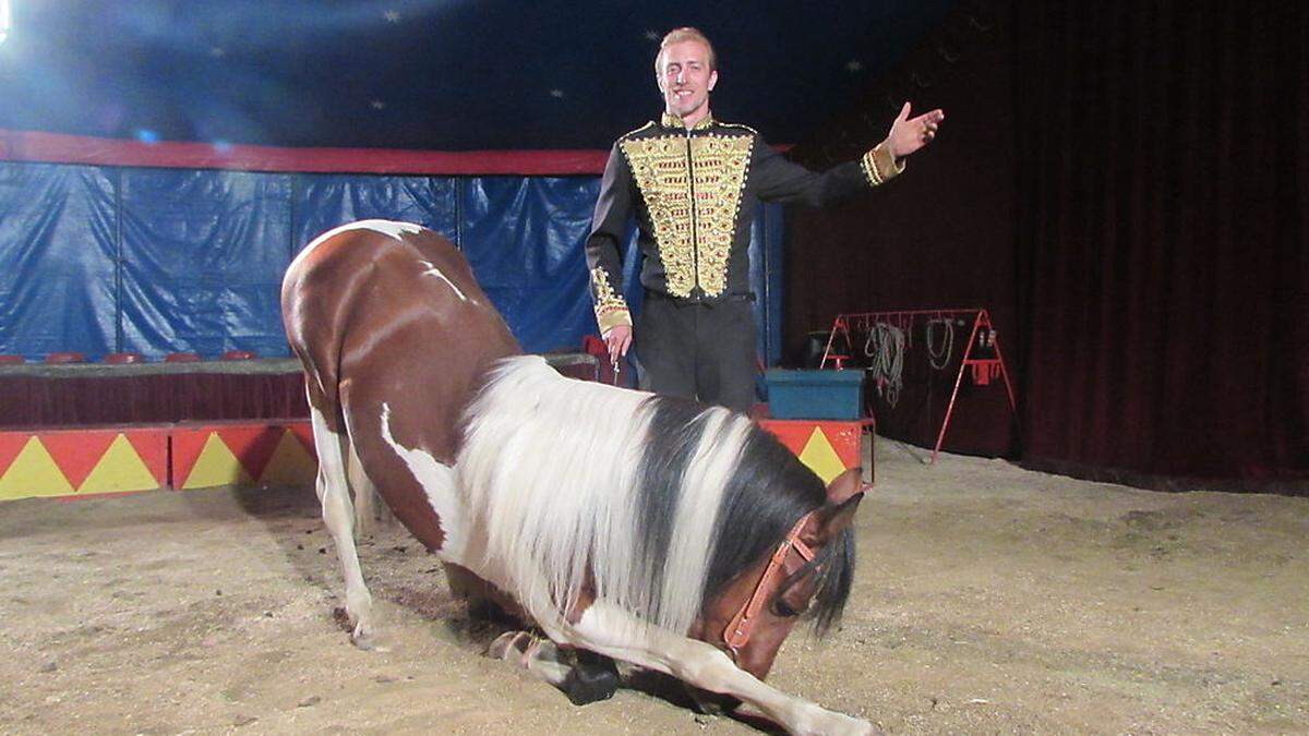 Beim Weihnachtszirkus in Wolfsberg treten auch Pferde auf