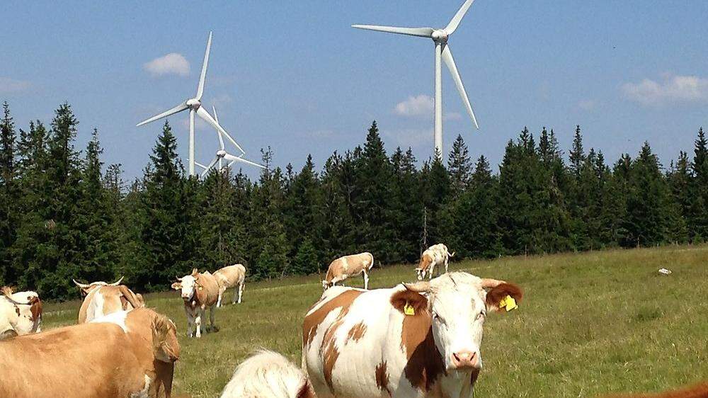 Keine Windkraft in einer Naturlandschaft, sagen die Gegner