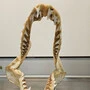 Das beschlagnahmte Haifischgebiss