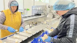 Die Verpackung der Bio-Kräuterseitlinge wird künftig nicht mehr in Eisenerz stattfinden, sondern im Bezirk Weiz (Archivbild)