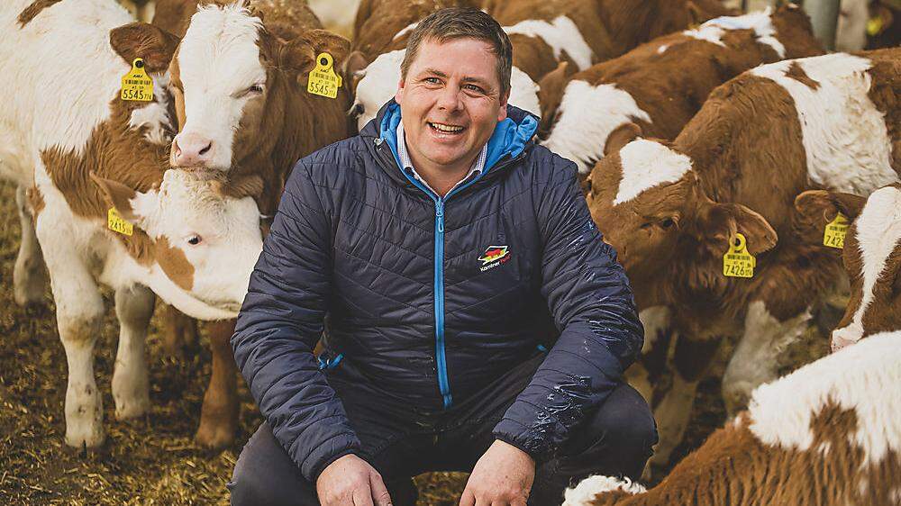 Josef Fradler (40) und seine Stierkälber, die sich trotz großem Platzangebot neugierig um ihn scharen 