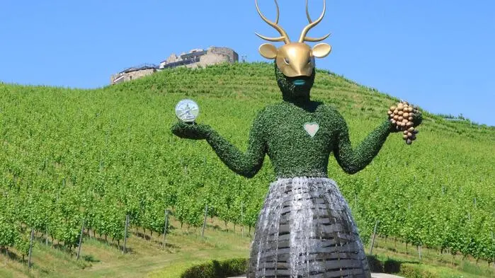 Auch wenn sich der Besucherandrang aufgrund der tropischen Temperaturen in Grenzen hielt: Sechs Weingüter (Weingut Taggenbrunn (Foto), Vinum Virunum, Weinbau Familie Auer, Weingut Georgium, Weingut Karnburg, Karolinger Weinbau in der Gelterei in Goggerwenig) aus dem Raum Längsee öffneten am Samstag anlässlich der „Weintour“ ihre Türen und präsentierten im Rahmen einer kulinarischen Roadshow die Vielfalt des südlichsten Weinlandes Österreich. Neben den Weinen standen regionale Spezialitäten nach Slow-Food-Prinzipien im Mittelpunkt. 