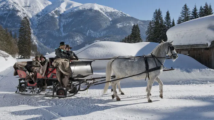Vor dem noblen Posthotel Achenkirch warten Lipizzaner. Das Gespannfahren ist nämlich neben dem Züchten die große Leidenschaft des Hotelchefs Karl Reiter.