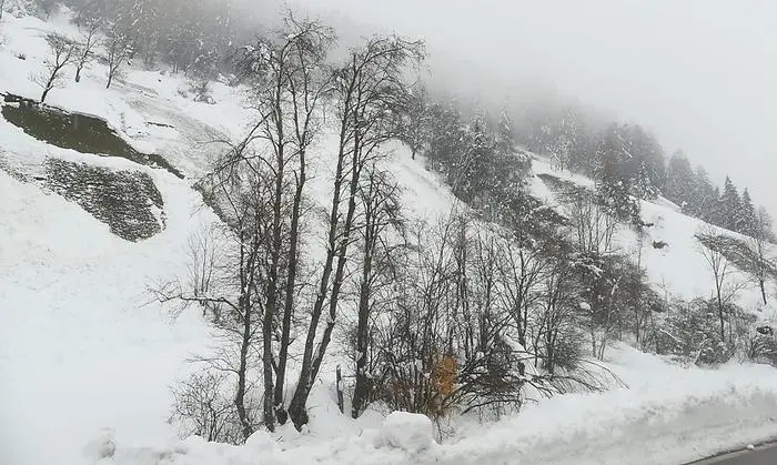 Der schwere Schnee rutscht an steilen Straßenböschungen ab und knickt Bäume