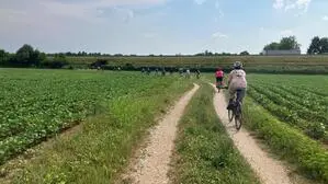 Eine Gruppe Radfahrer auf einem Weg neben Feldern