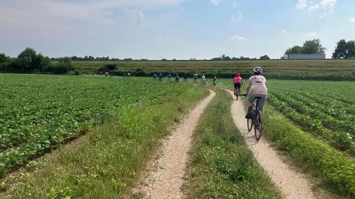 Eine Gruppe Radfahrer auf einem Weg neben Feldern