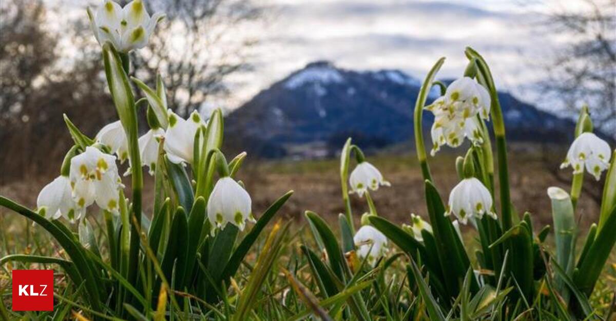 Der-Fr-hling-nimmt-diese-Woche-Kurs-in-Richtung-20-Grad