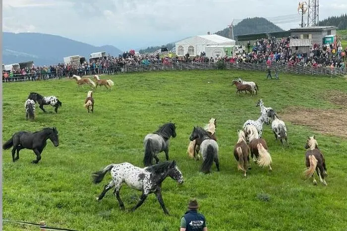 Rund 2000 Besucherinnen und Besucher pilgerten für das Spektakel auf die Sommeralm.