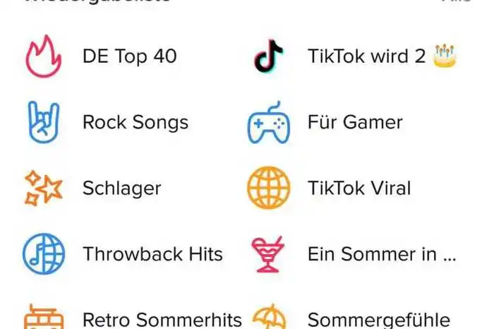 Anschließend kann man Musik über das Video legen. Dabei gibt es alles, von klassichen Rock Songs, bis zu Schlager und den deutschen Charts. 