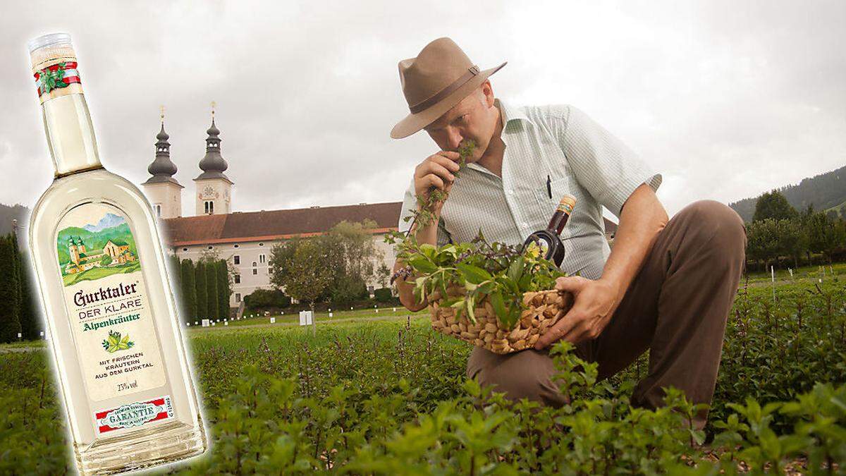 Gurktaler Kräuterexperte Hans Grames beim Ernten frischer Kräuter im Kräutergarten des Doms zu Gurk