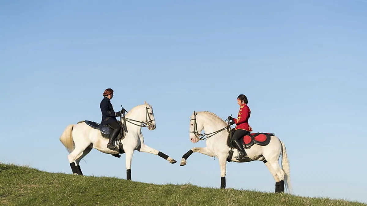 Rösser sind die Ballettstars beim Spektakel „La Margarita“	 