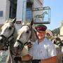 Tausende Besucher kamen zum Almabtrieb der Lipizzaner nach Köflach (Foto) und Maria Lankowitz