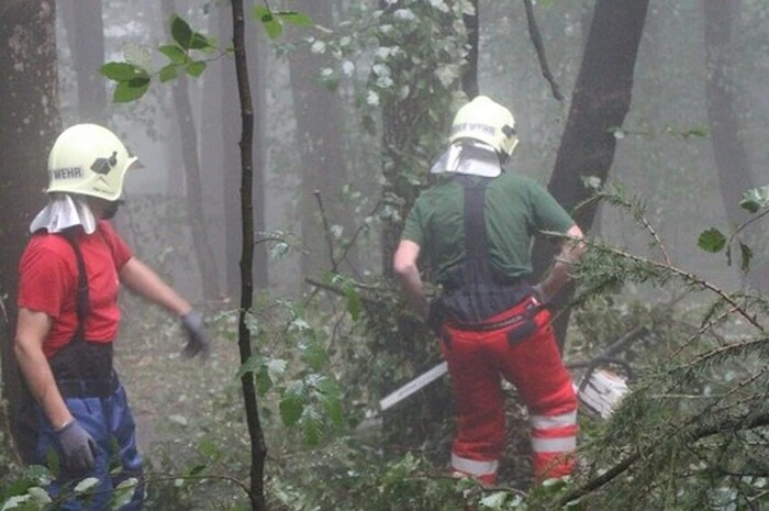 Die Freiwillige Feuerwehr Kaindorf rückte mit Seilwinde und Kettensägen aus, um die Gefahr zu beseitigen.