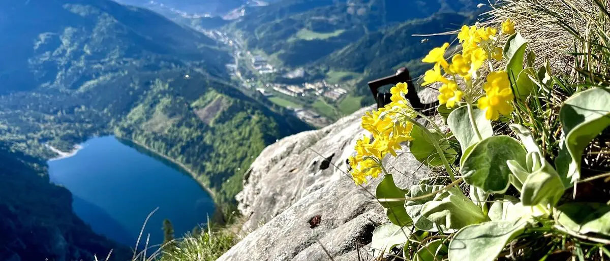 Das Pfingstwetter ist, laut Vorhersage, vielversprechend