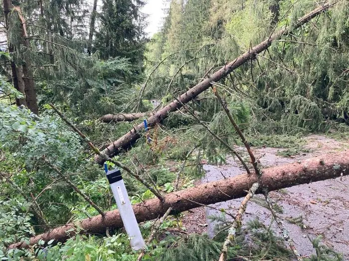 Umgestürzte Bäume versperrten Straßen