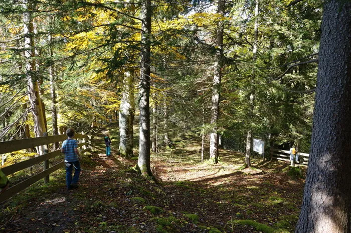 Der Archäologiepfad über der Knallwand in Rössing/Ramsau neben dem Luserwasserfall