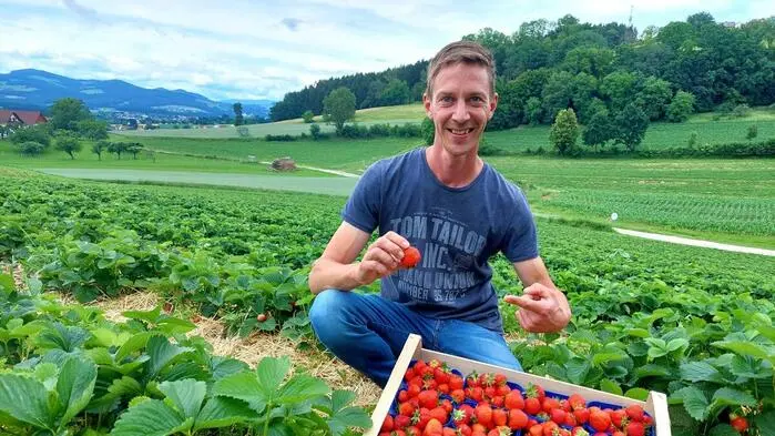 Karl Schlögl ist mit der Ernte zufrieden