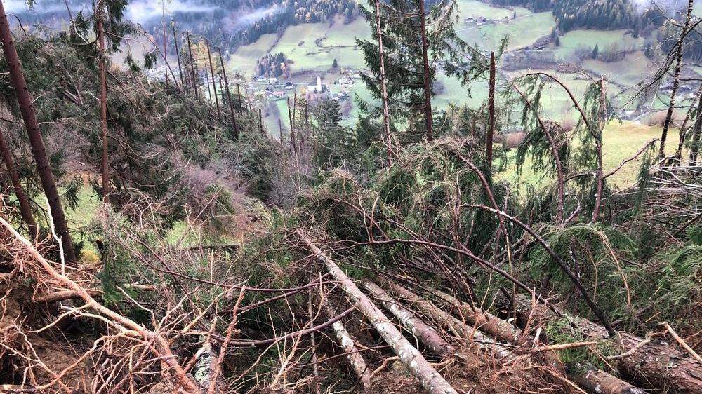 1,4 Millionen Festmeter Schadholz sind durch das Sturmtief Vaia im Herbst 2018 in Kärnten angefallen