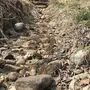Das ausgetrocknete Bett des Pausendorfer Baches