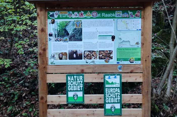 Rund zehn Stunden dauerte es, bis Franz Schlögl und ein Kollege nach dem ersten Vandalismus alle Pickerl mittels Speziallösungsmittel entfernt hatten.