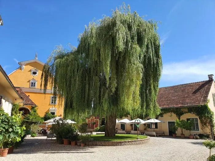 Am Schloss Gamlitz, von Hans Kilger gepachtet, ist der Hauptsitz der Domaines Kilger in der Steiermark 
