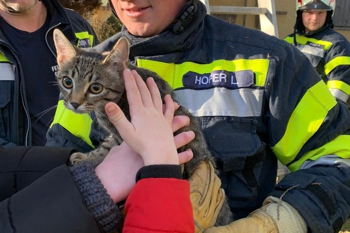 ... und wieder ihren glücklichen Besitzern übergeben. Nach einer knappen Stunde war der Einsatz beendet.