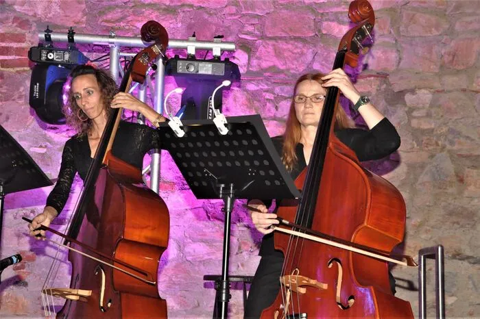 Die Besucher konnten einen musikalischen Abend voller Musical- und Pop-Klassiker sowie Hits der jüngeren Zeit genießen. Das Kammerorchester Lipizzanerheimat unter der Leitung von Tanja Stock untermalte die Veranstaltung sorgte auch mit eigenen Musikdarbietungen für Beifallsstürme beim Publikum.
