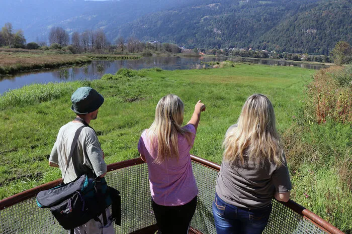 Doch im Frühjahr des Jahres 2017 war es so weit, es wurde mit der Flutung des Bleistätter Moors begonnen. 54 Hektar Grund, die teils landwirtschaftlich genutzt wurden, sind so der Natur, dem Wasser „zurückgegeben“ worden. Insgesamt flossen 10,5 Millionen Euro in das Projekt.
