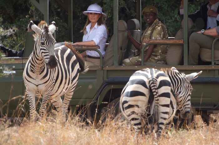 ... vielleicht auch ein kleiner Gruß an die Zebras?