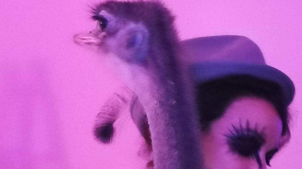 Ein lebender Emu war in der Villa For Forest als Party-Gag geladen