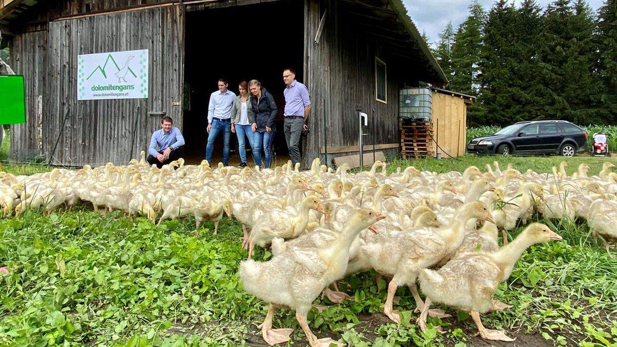 Johannes, Florian, Sabine und Johanna Kuenz und Klemens Kreuzer mit ihrer Gänseschar