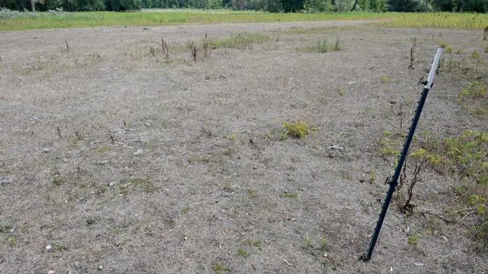 Eine Wiese ist von der Hitze ausgedörrt und braun statt grün