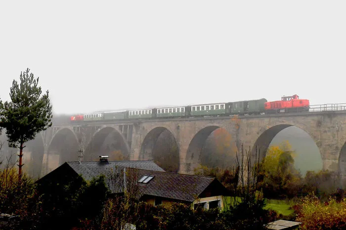 Die Fahrten wurden vom Club U44, der sich ehrenamtlich um den Fahrbetrieb auf der seit 111 Jahren bestehenden Feistritztalbahn, und Patrik Ehnsperg, Sprecher der Interessensgemeinschaft Feistritztalbahn, organisiert.