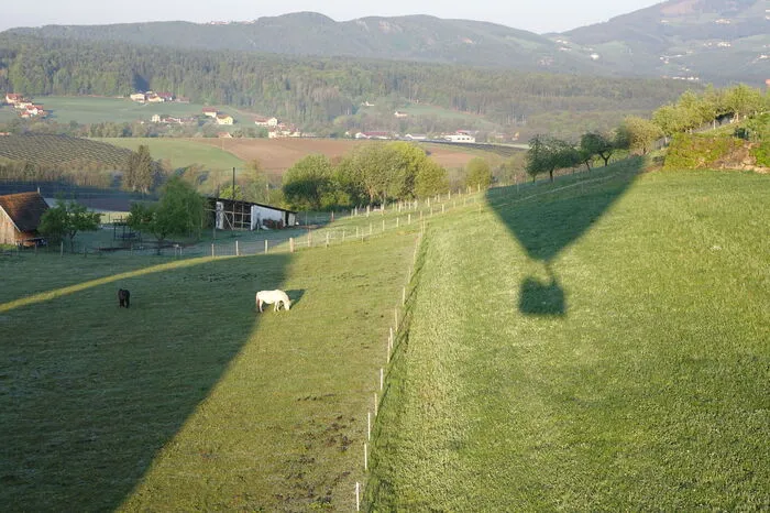 Die Pferde auf der Koppel lassen sich davon nicht irritieren.