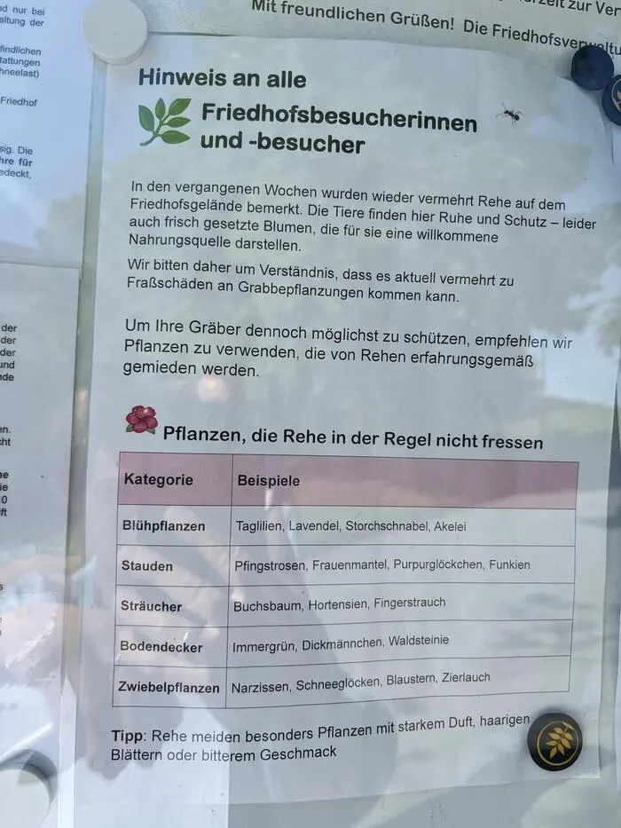 Im Schaukasten wurde eine Empfehlung für Grabbepflanzung ausgehängt, um Fraßschäden durch Rehe zu vermeiden