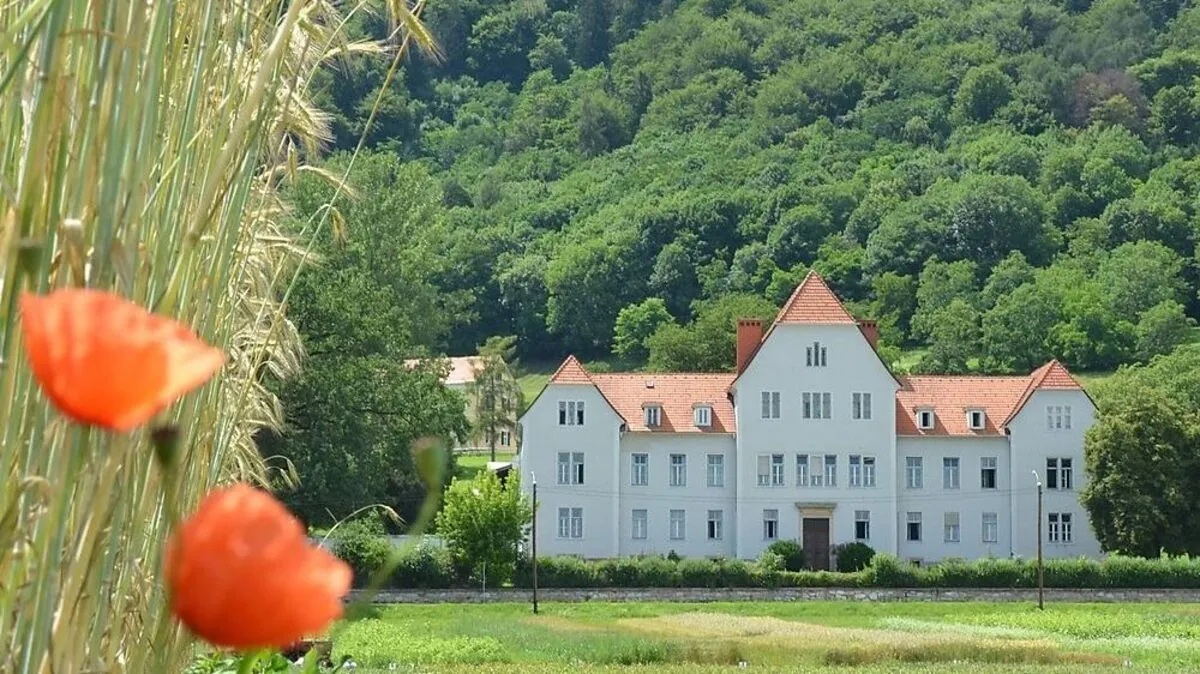 Ein idyllisches Bild von Alt-Grottenhof, um das es in den letzten Wochen teils heftige politische Wortgefechte gab