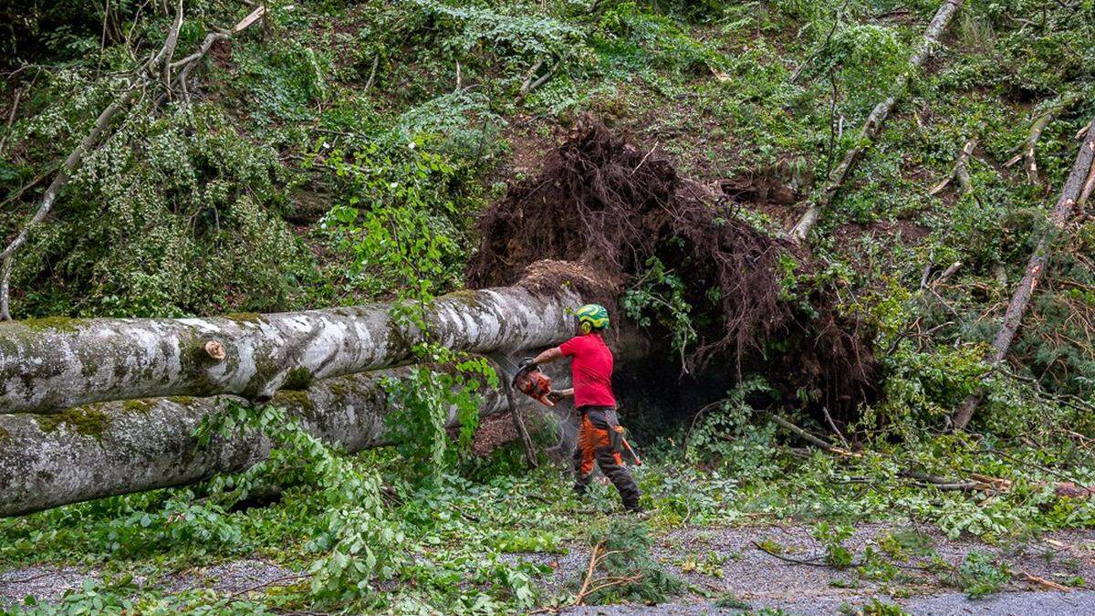 Zahlreiche Bäume wurden durch die Sturmböen entwurzelt