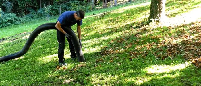 In der Steiermark werden heuer rund 200 Tonnen Edelkastanien geerntet. Dabei kommen auch spezielle Sauggeräte zum Einsatz