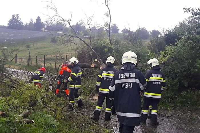 Auch die Kameraden der Freiwilligen Feuerwehr Nitscha bekamen es mit einer Baumbergung zu tun. Der Baum blockierte eine Straßen am Hohenberg.