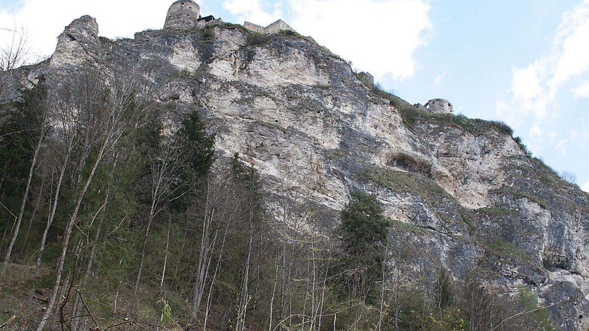 Die Aussichtsplattform wird einen Einblick in die Flora und Fauna der Felswand gewähren